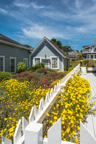 Houses in Mendocino, California