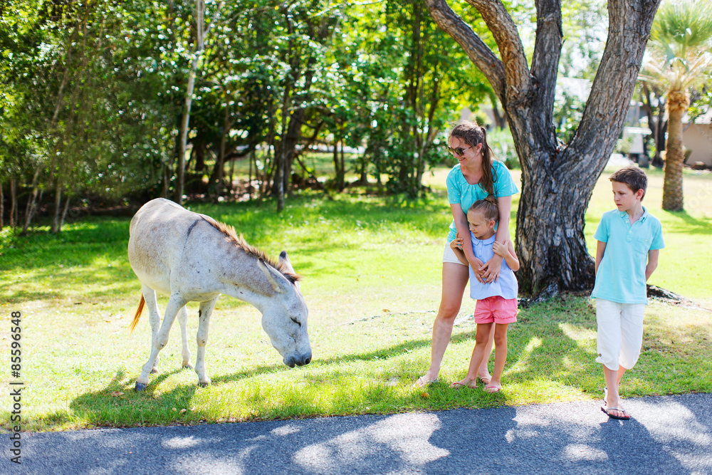 Fototapeta premium Mother and kids outdoors looking at donkeys