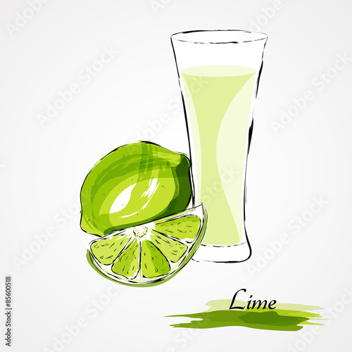  Hand drawn vector lime, citrus fruit and juice in glass on light background