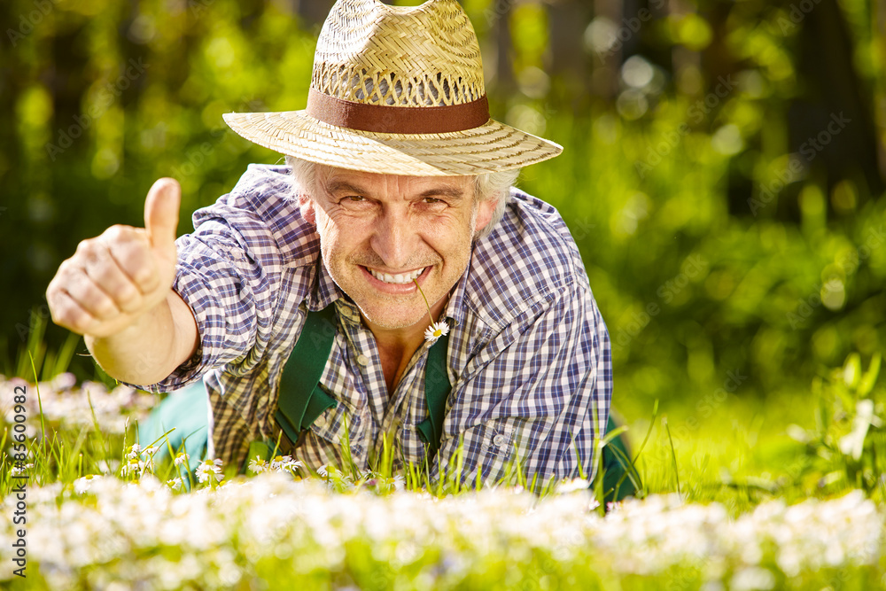 Gärtner in Blumenwiese und Daumen hoch Stock Photo Adobe Stock