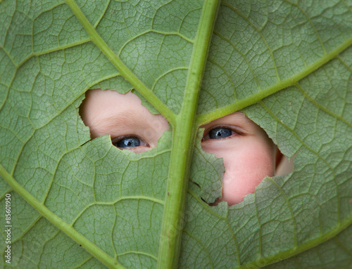 Canvas Print eyes