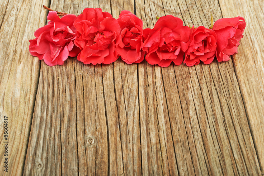 Red rose Red rose
