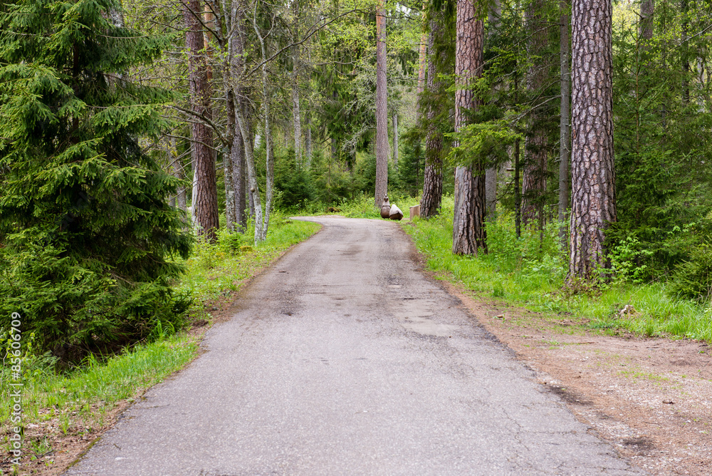 Fototapeta premium empty road in the countryside