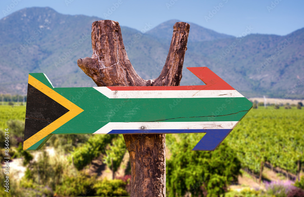 Fototapeta premium Flaga Republiki Południowej Afryki drewniany znak z tłem winnicy