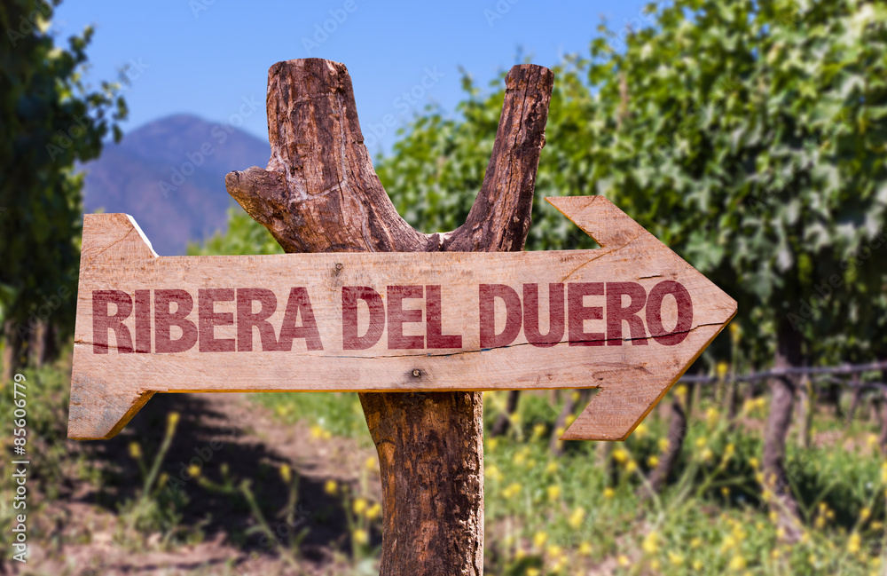Ribera Del Duero wooden sign with vineyard background
