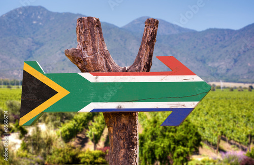 South Africa Flag wooden sign with vineyard background