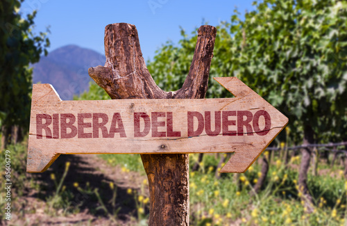 Ribera Del Duero wooden sign with vineyard background
