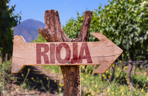 Rioja wooden sign with vineyard background photo