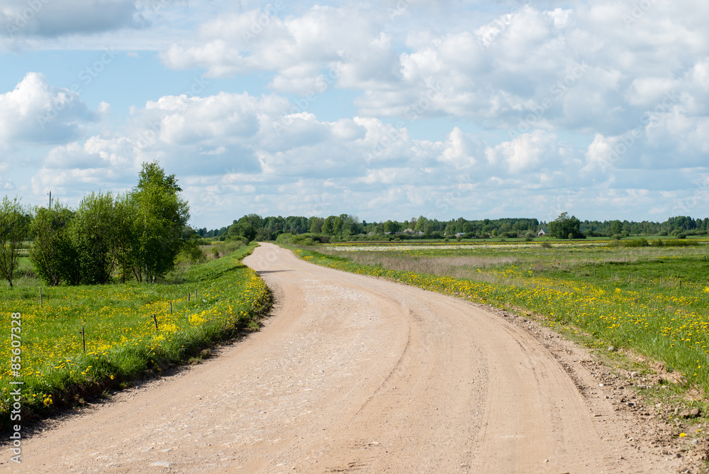 Obraz premium empty road in the countryside