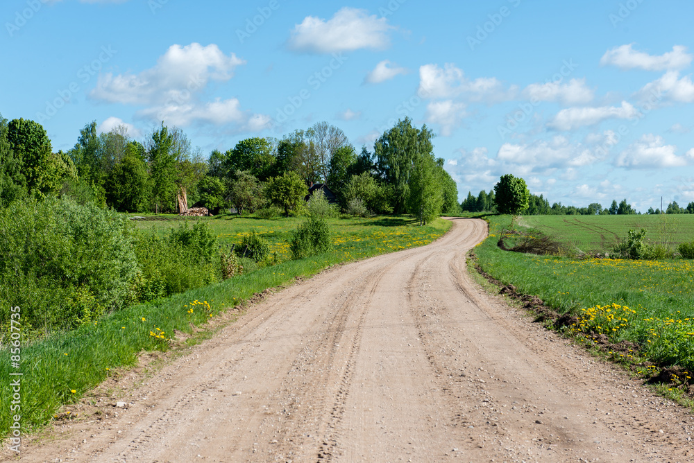 Fototapeta premium empty road in the countryside