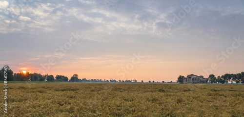 Obraz na płótnie Sonnenaufgang über dem Kornfeld w salonie