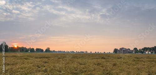 Sonnenaufgang   ber dem Kornfeld