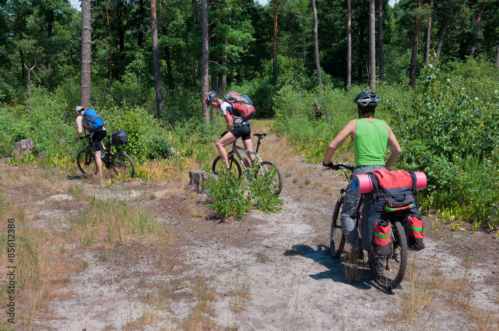 Naklejka premium Group of tourists mountain bike ride on forest trail.