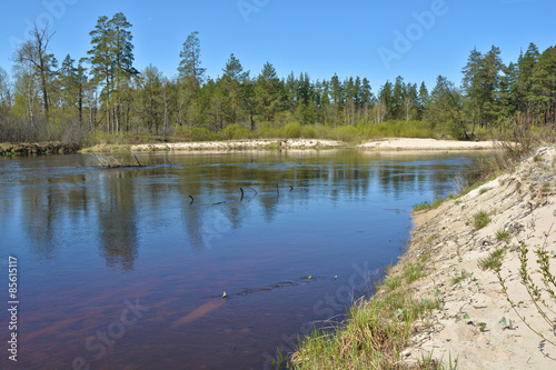 Fototapeta Naklejka Na Ścianę i Meble -  Spring on the river.