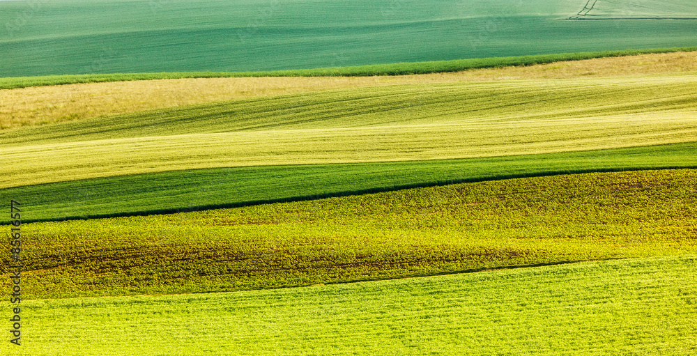 Abstract pattern of rolling fields