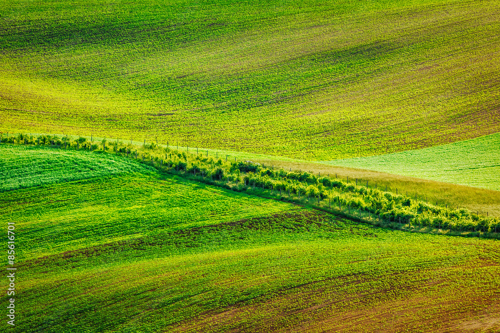 Abstract pattern of rolling fields