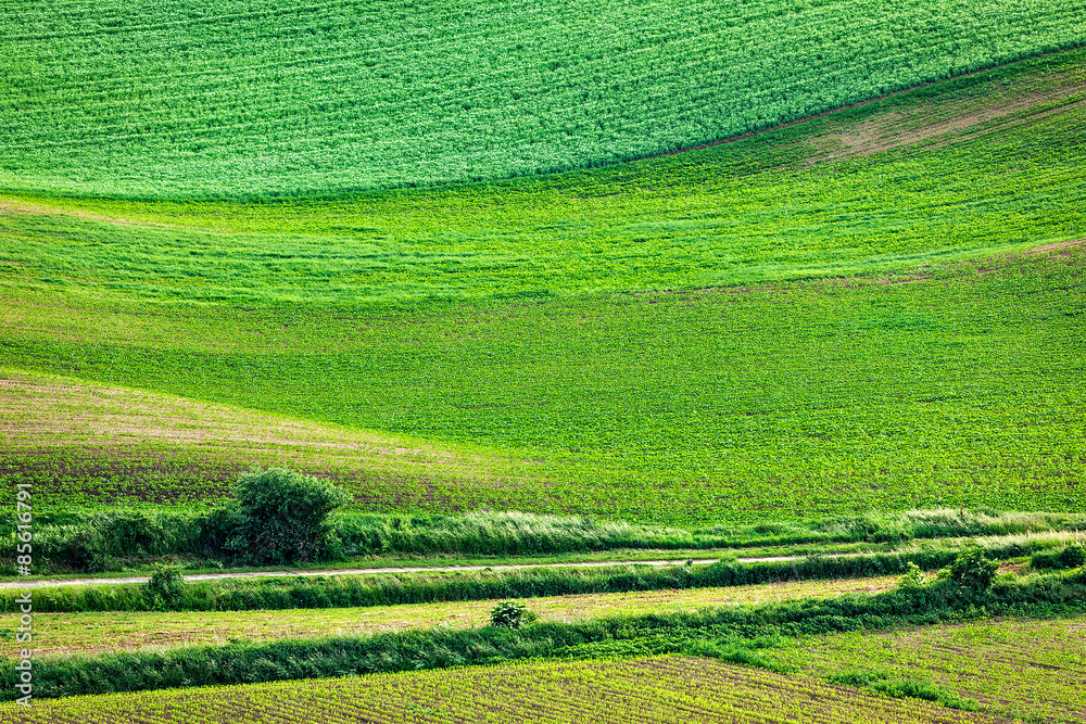 Abstract pattern of rolling fields