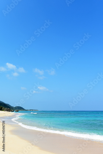 美しい沖縄のビーチと青空 © Liza5450