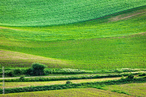 Abstract pattern of rolling fields