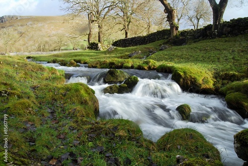 Small river waterfall crossing through a field