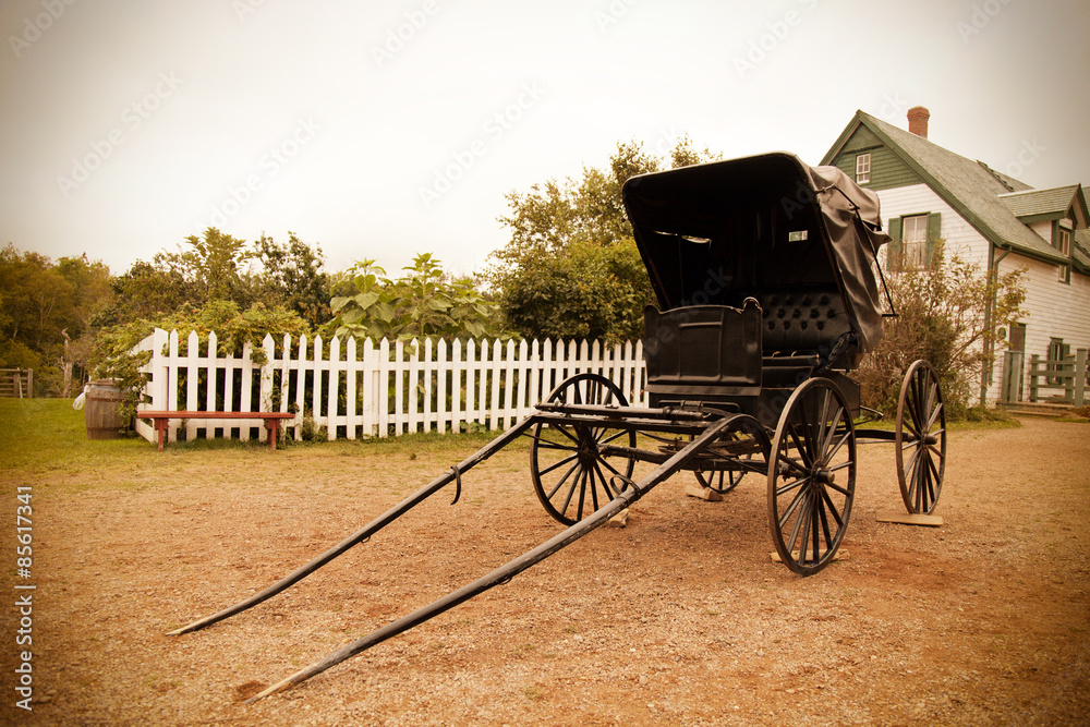 Old vintage horse carriage