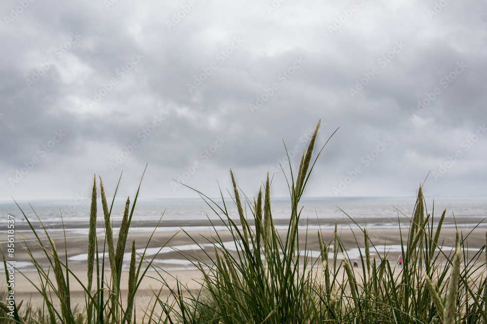 serie bord de mer