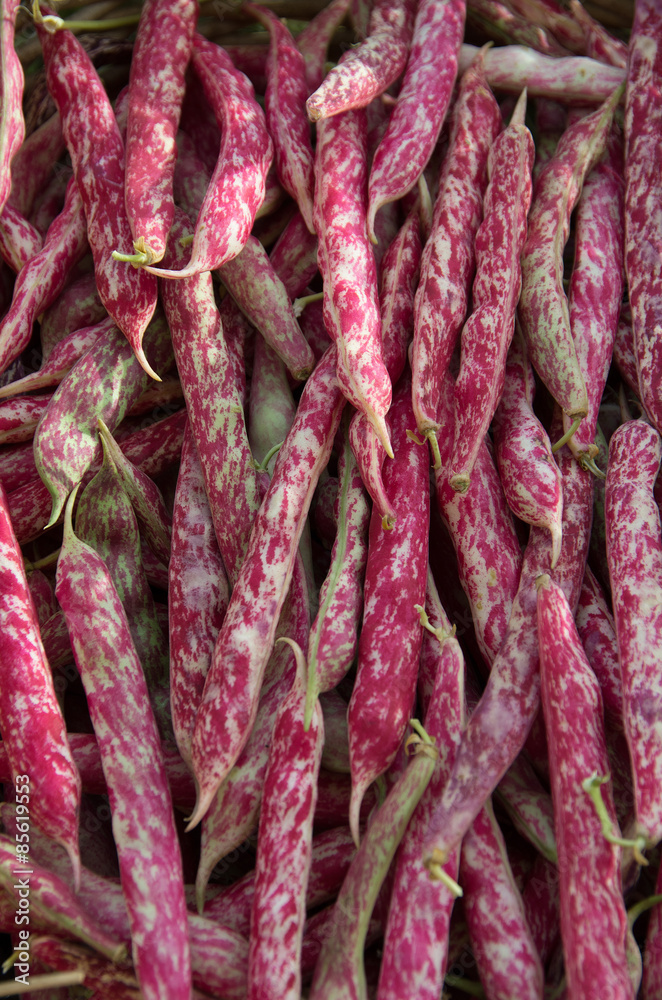 Detail of 'Borlotti' beans in outoor market Detail of 'Borlotti' beans in outoor market