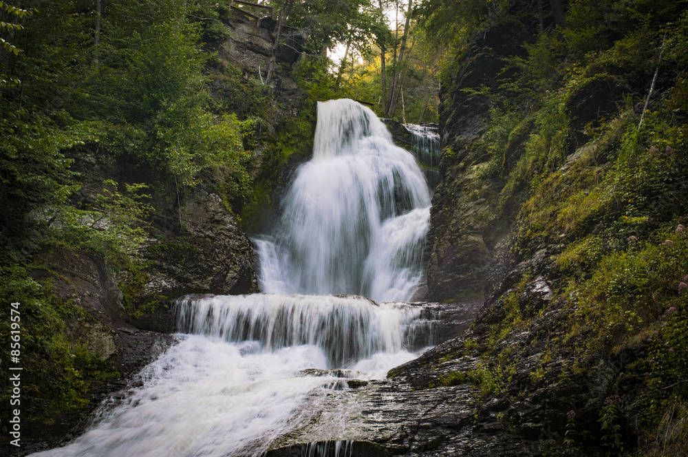 Obraz premium Dingman falls