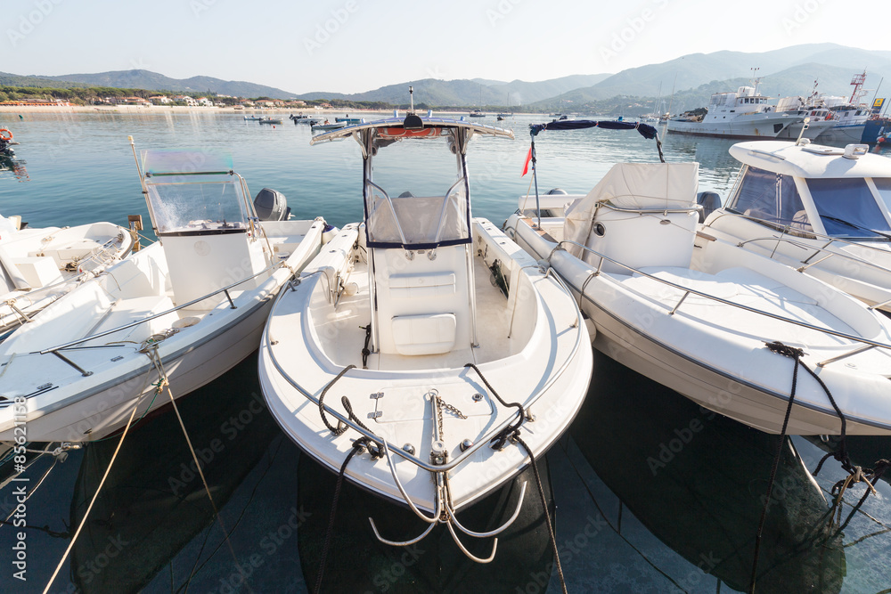 Fototapeta premium white boats in harbor