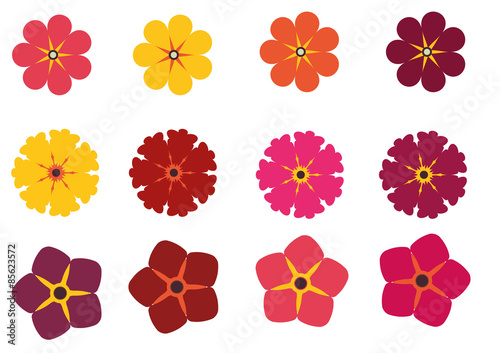 Fototapeta Naklejka Na Ścianę i Meble -  Flores Pacote Vetores