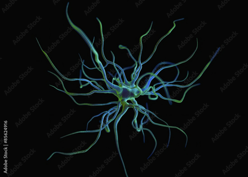 Nerve cells or Neurons