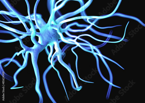 Nerve cells or Neurons