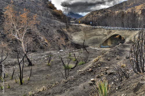 After the fire