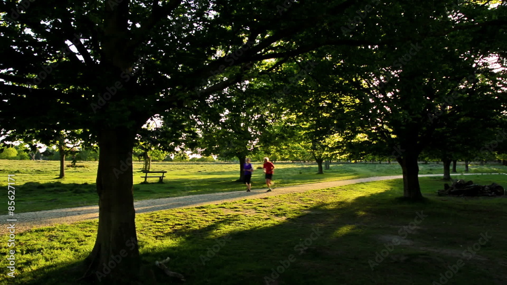 London, UK. May 2015. Man running in a park at the sunset. London, UK. May 2015. Man running in a park at the sunset.