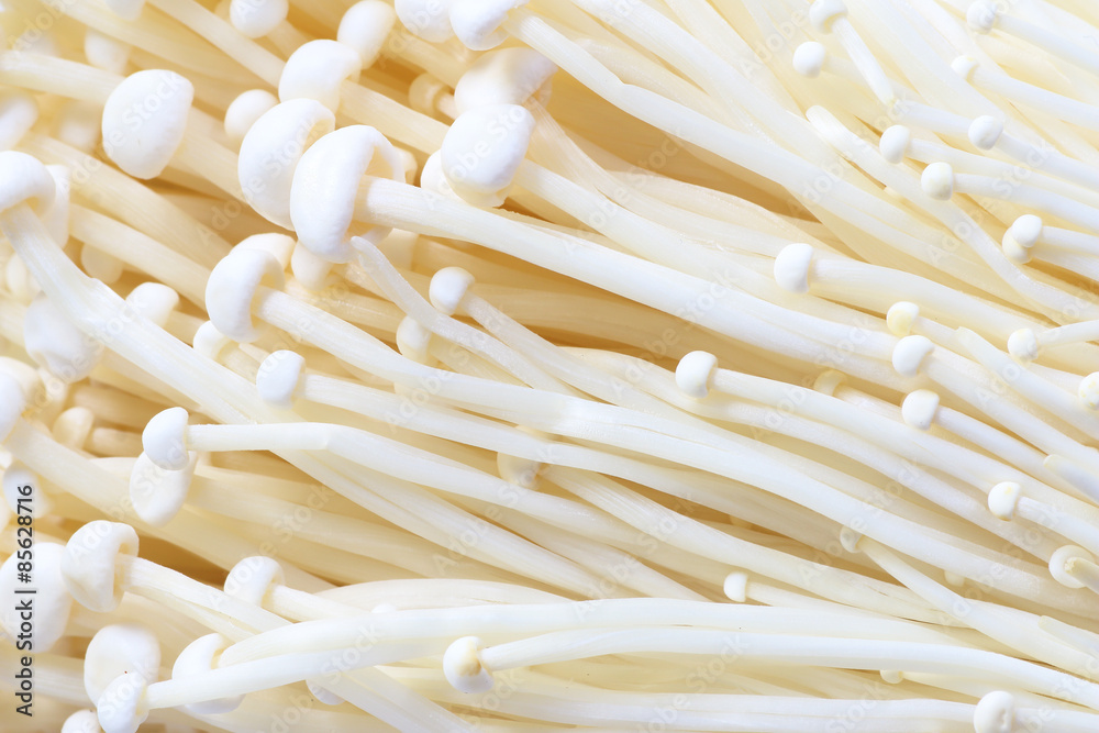 Mushroom, group of golden needle Mushroom Mushroom, group of golden needle Mushroom