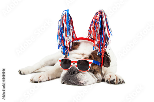 Fototapeta Naklejka Na Ścianę i Meble -  Funny Fourth of July Dog