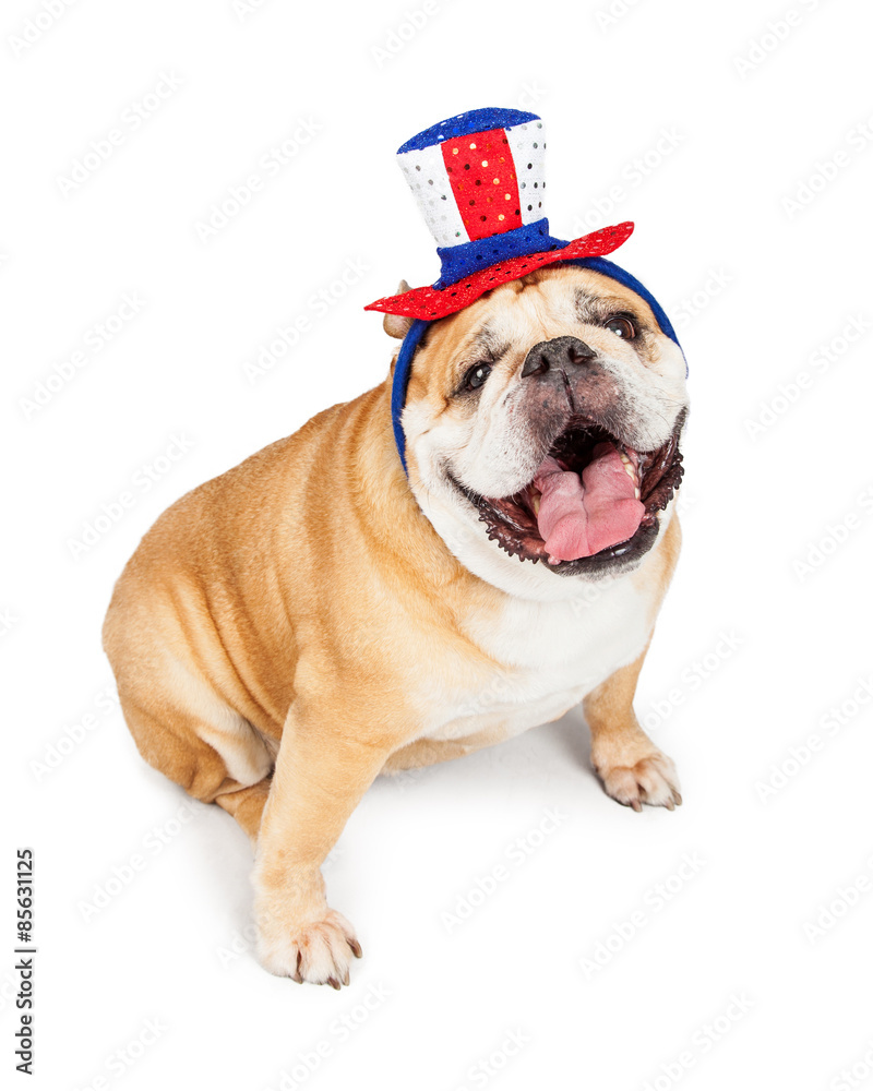 Happy Independence Day Bulldog