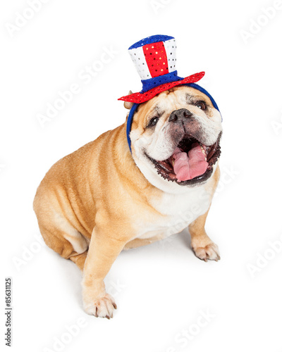 Happy Independence Day Bulldog