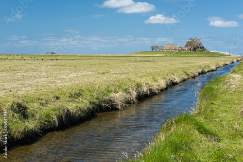 Haus auf der Hallig Hooge in der Nordsee photo