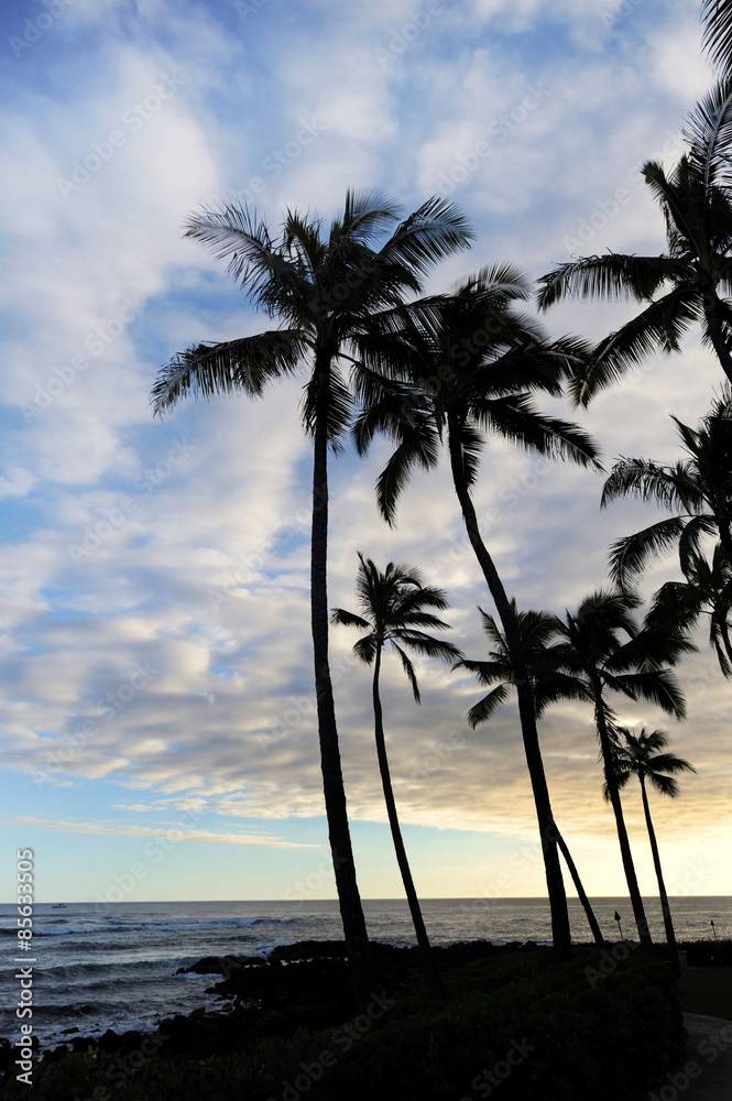 Hawaii Pardise