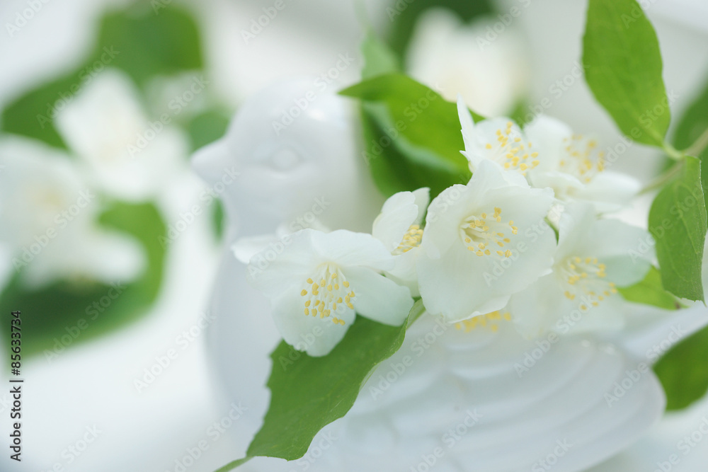 Obraz premium Жасмин