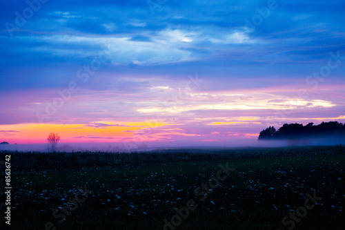 Sonnenuntergang auf Goitland, Schweden, mit Nebelschleier über dem Boden, der die Baumgruppen einhüllt, und intensiven Blau-Rot-Violett Farbtönen
