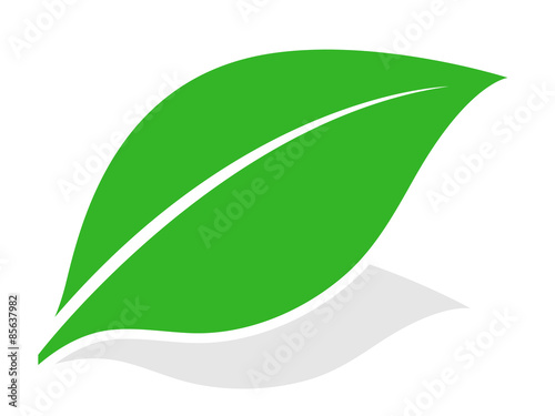 Green leaf logo with shadow
