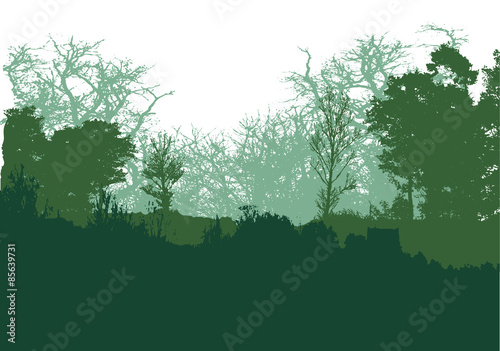 Wild forest panoramic landscape with trees, grass and plants 