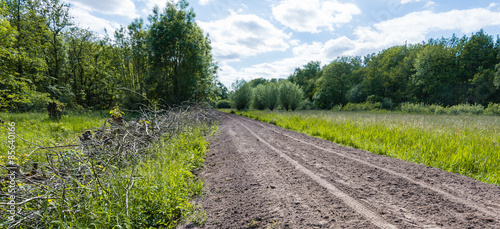 Country road with loose sand in a nature reserve