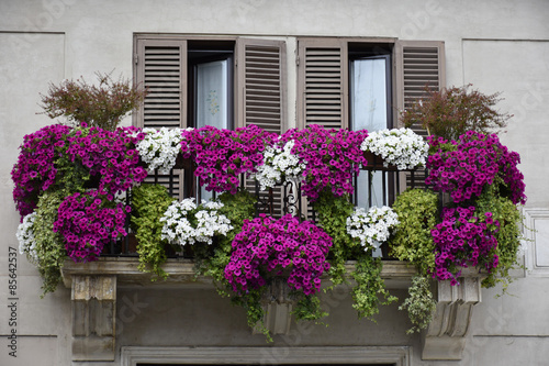 Flowered balcony © Tuombre