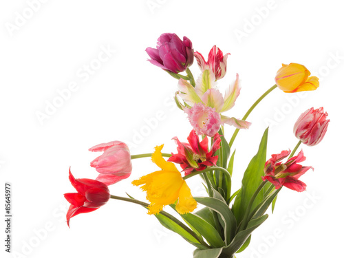 beautiful colorful bouquet of tulips