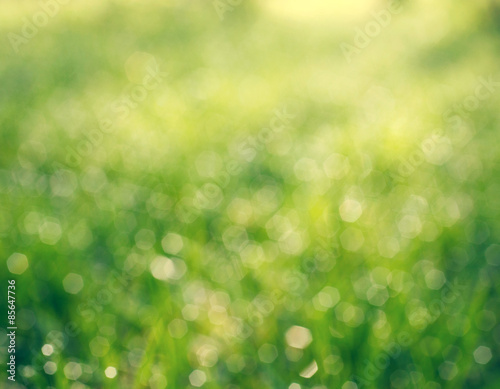 bokeh grass with dew drops © serkucher