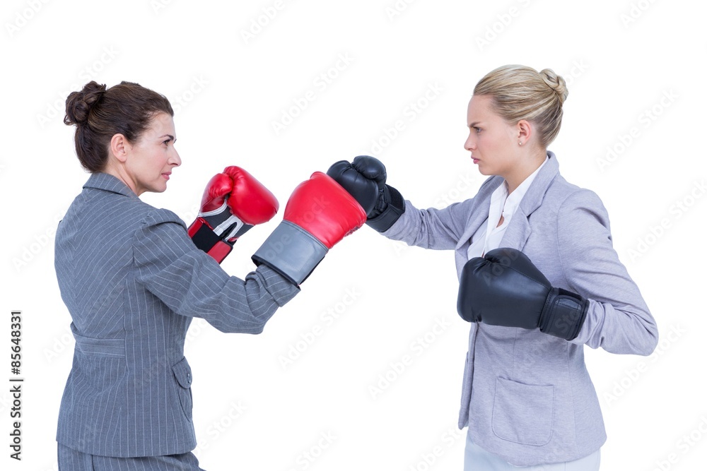 Businesswomen with boxing gloves fightin