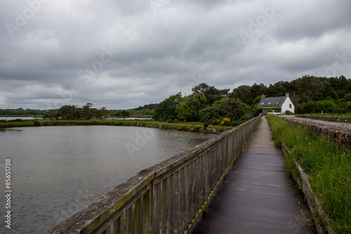 Wallpaper Mural The long walk home Torontodigital.ca